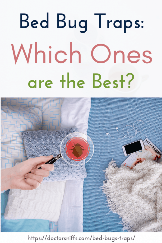 best bed bug traps. Hand holding magnifying glass and showing a bed bug.