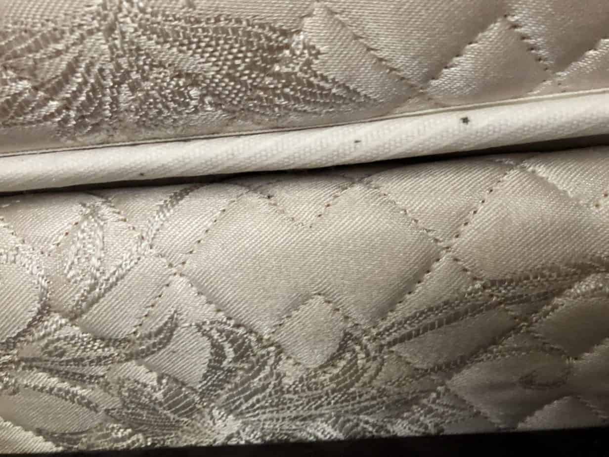 mattress showing fecal matter. 