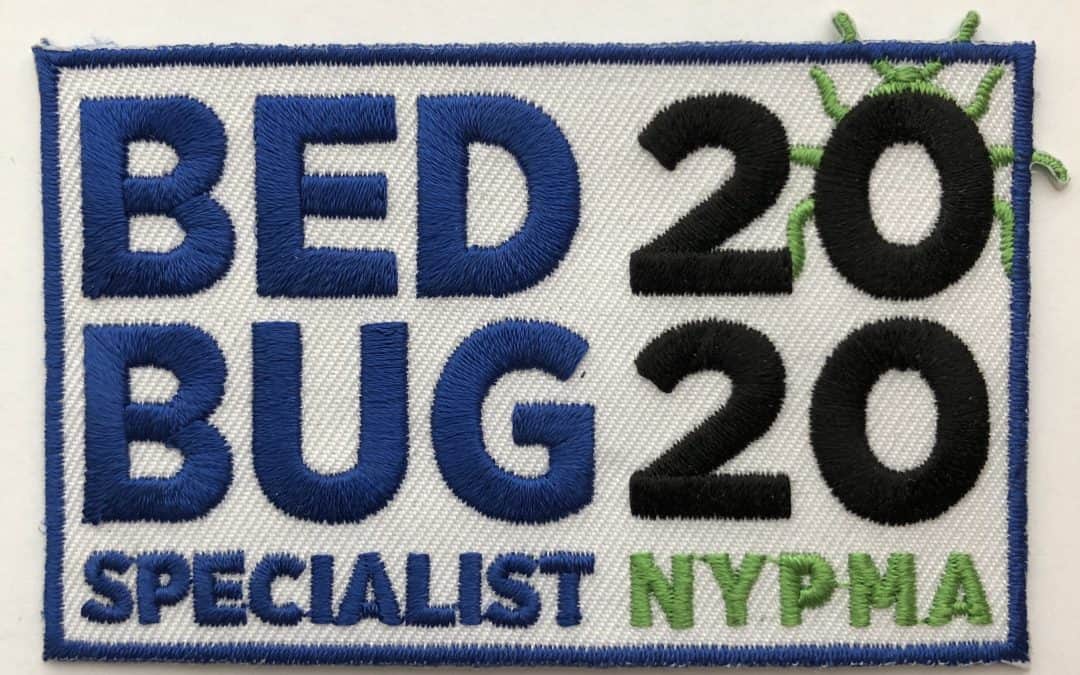 Best Bed Bug Steamer! [And Do They Actually Work]