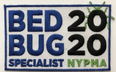 Best Bed Bug Steamer! [And Do They Actually Work]