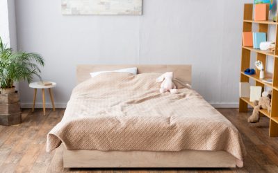 Best Mattress and Box Spring Covers for Bed Bugs