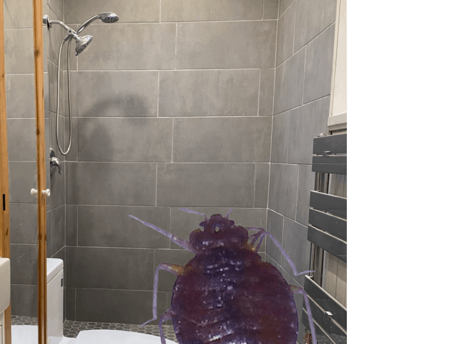Why Would Bed Bugs Be In The Bathroom?